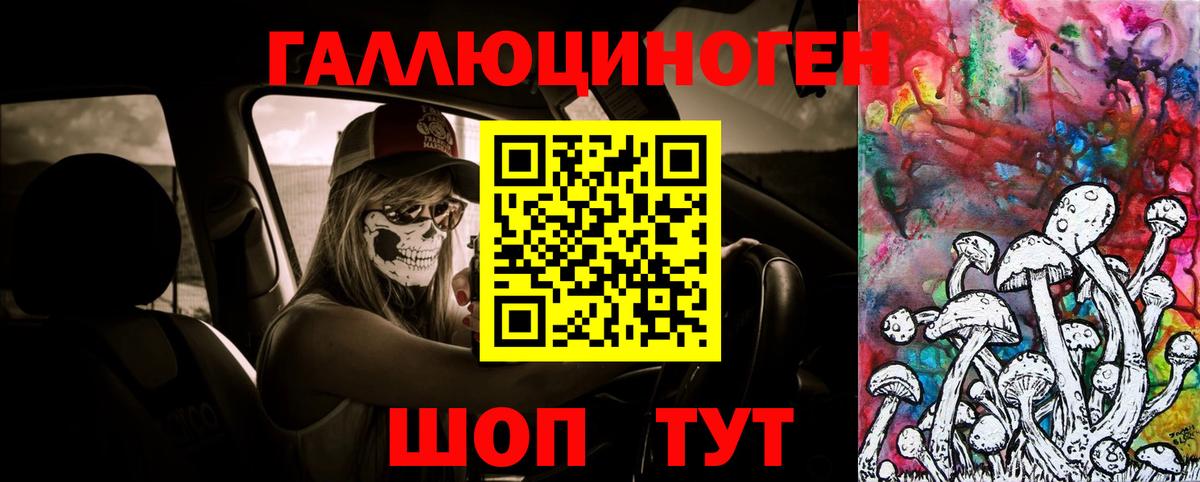 Псилоцибиновые грибы Psilocybine cubensis Краснокамск