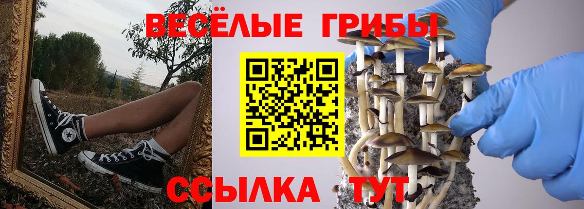 даркнет сайт  Вход с VPN  Краснокамск  Галлюциногенные грибы Psilocybine cubensis  Псилоцибиновые грибы мицелий 